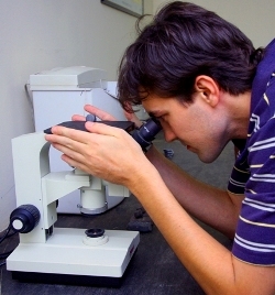 Microscópio